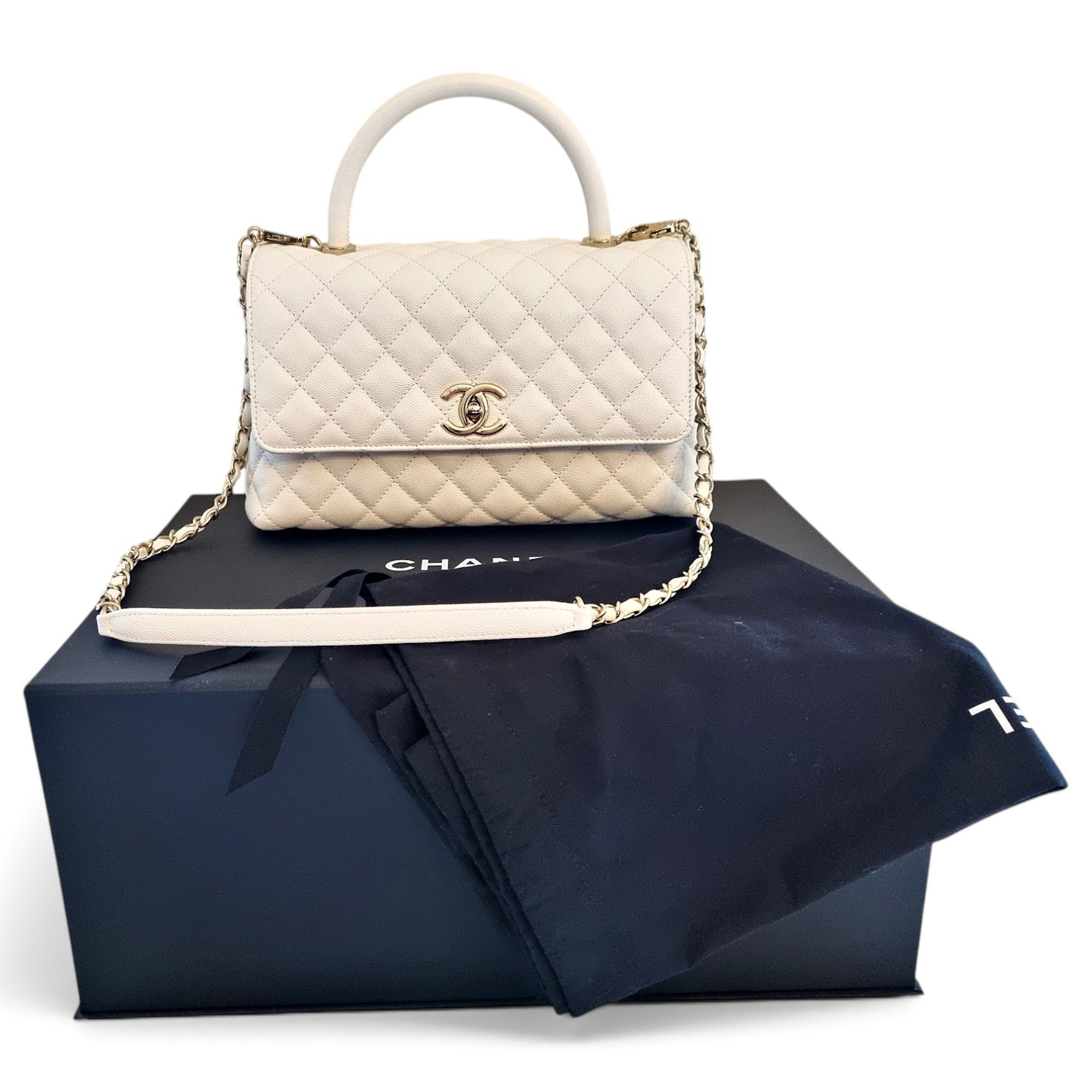 Coco Handle leather handbag