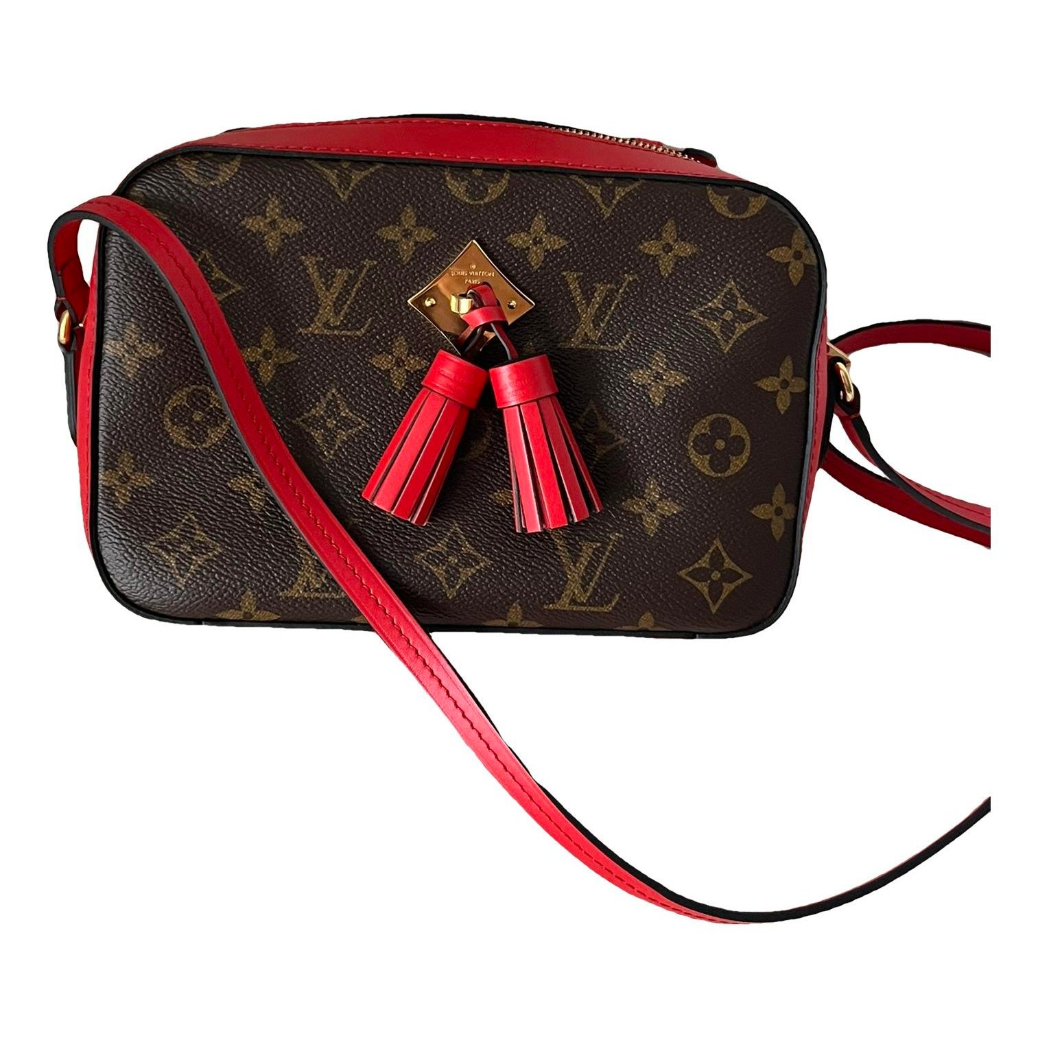 Saintonge leather crossbody bag