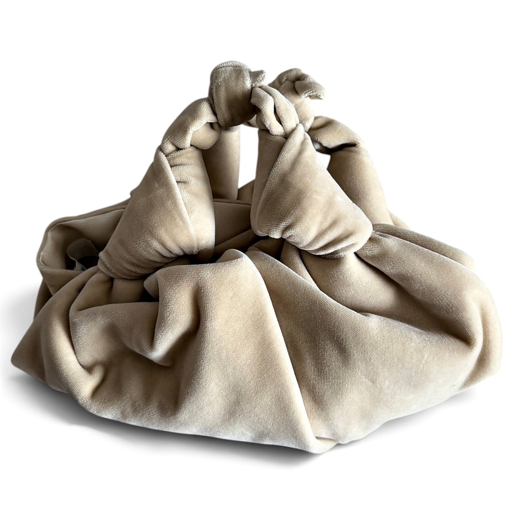 Ascot velvet handbag