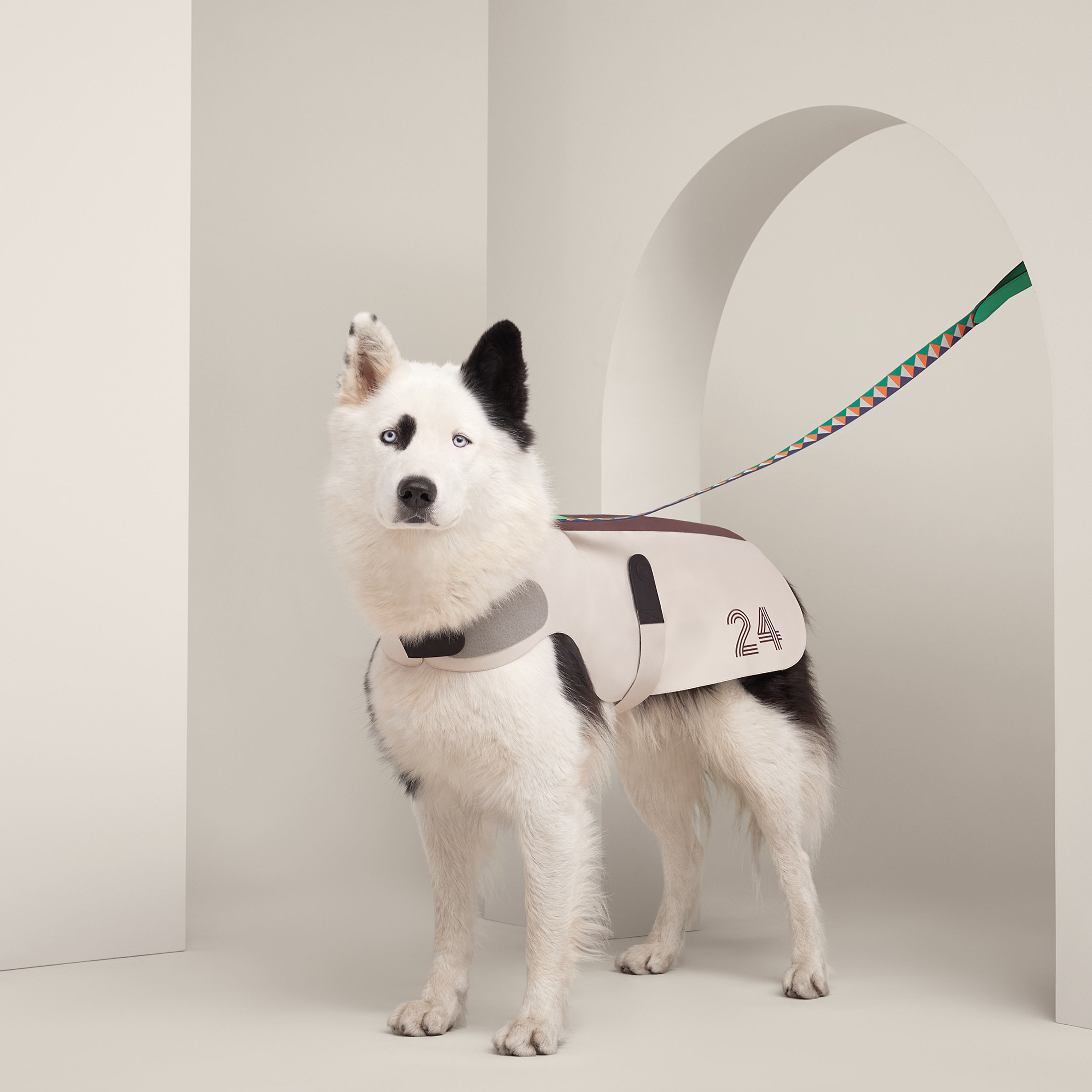 Course 24 Dog raincoat, M and L