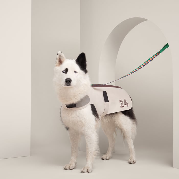 Course 24 Dog Raincoat, M and L