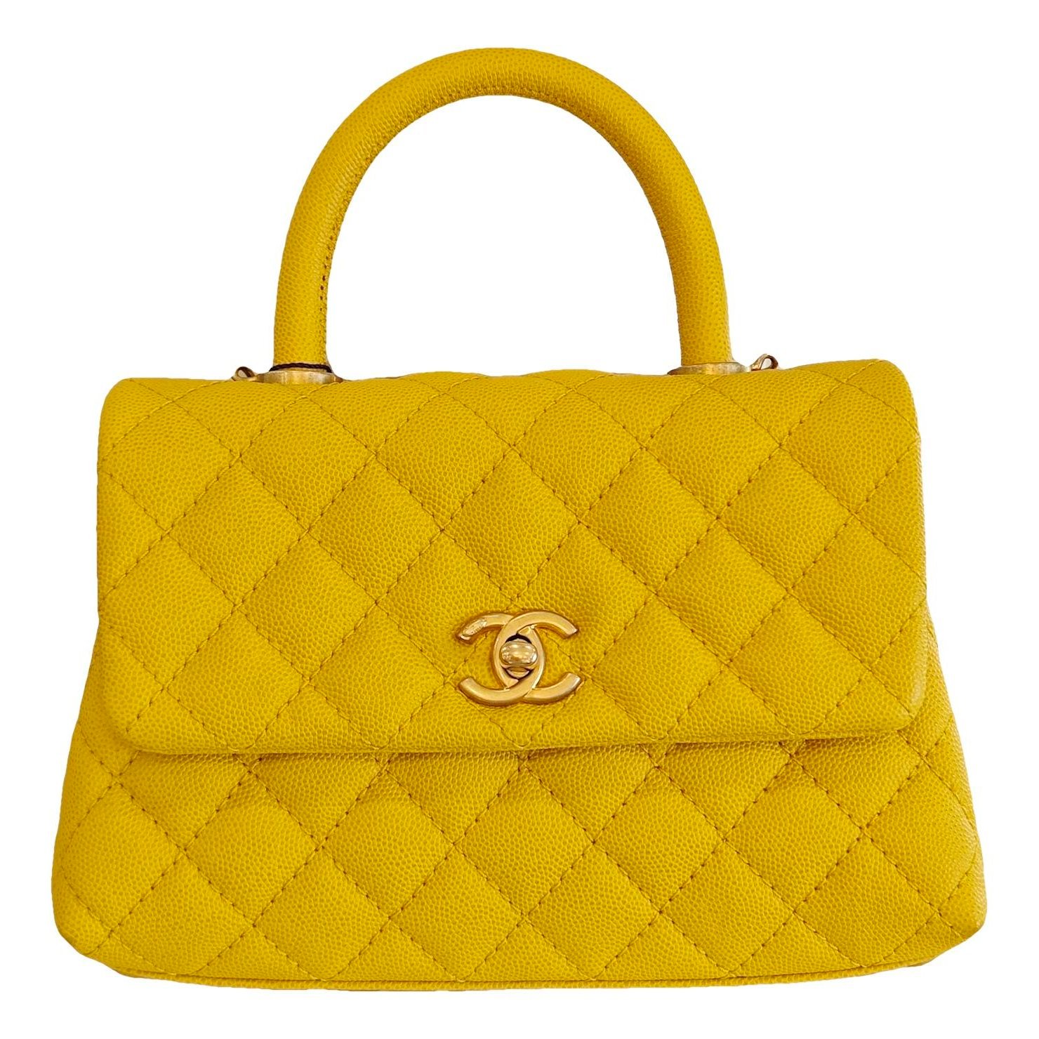 Coco Handle leather handbag