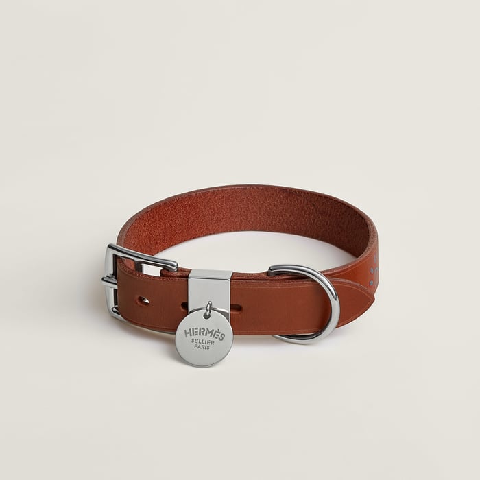 Dark Irish Polisson Dog Collar
