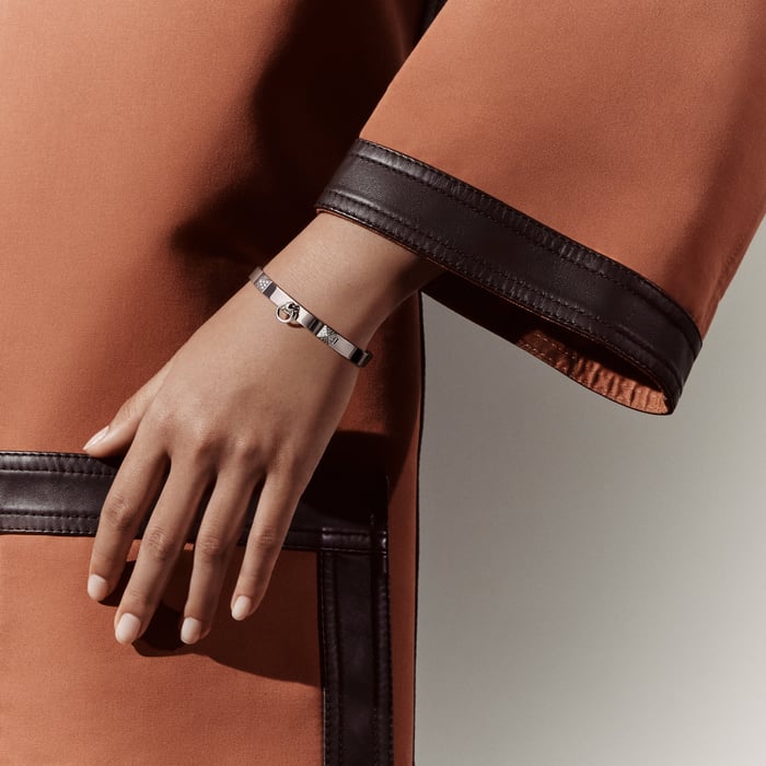 Sans Coloris Collier De Chien Bracelet, Small Model