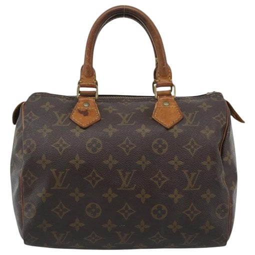 Louis Vuitton Speedy leather handbag