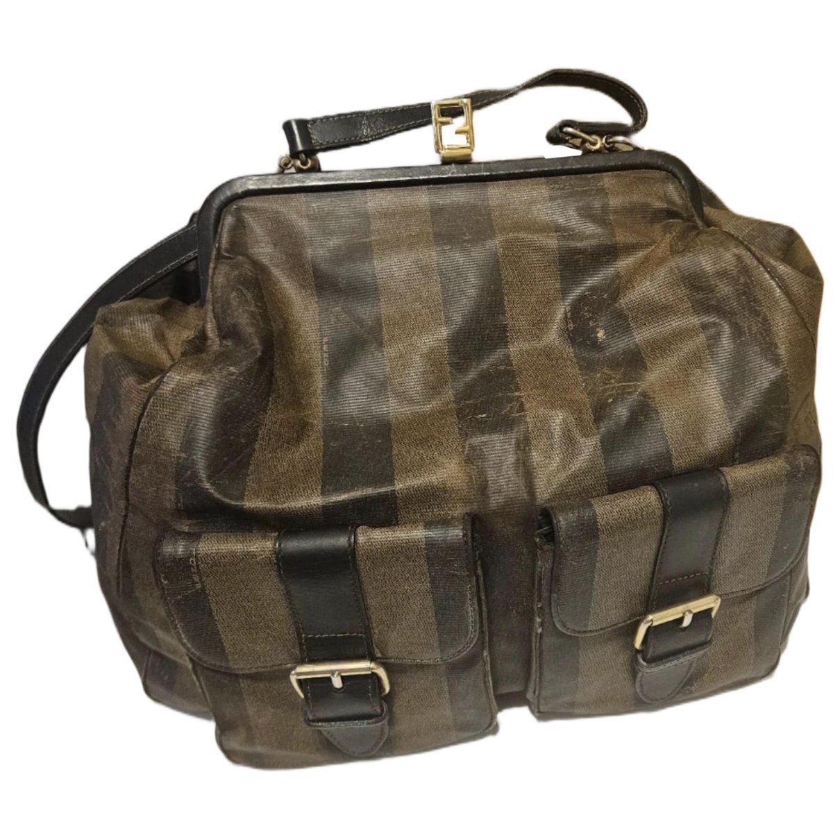 Chameleon leather bag