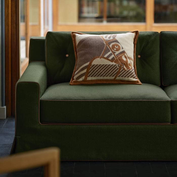 Cheval a La Couverture Pillow