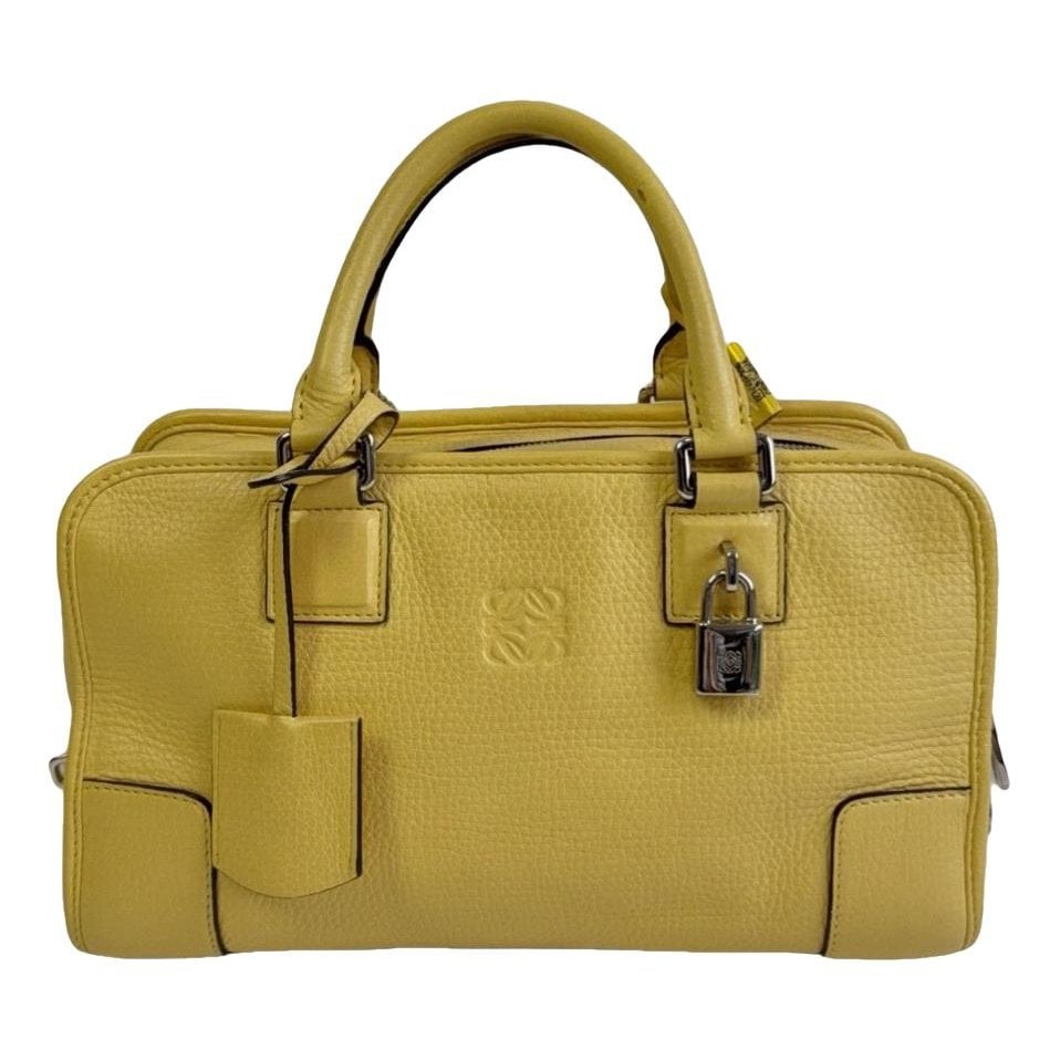 Amazona leather handbag
