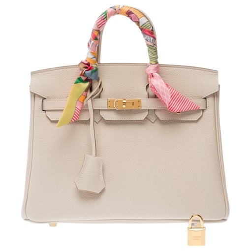 Hermes Birkin 25 Handbag Togo Leather 2025