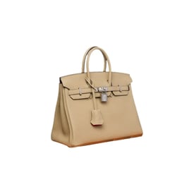 Hermes Birkin 25 Handbag Togo Leather 2022