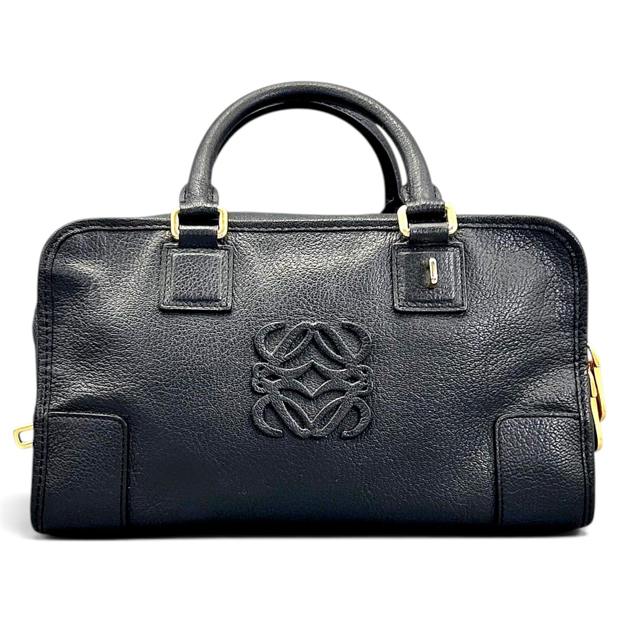 Amazona leather handbag