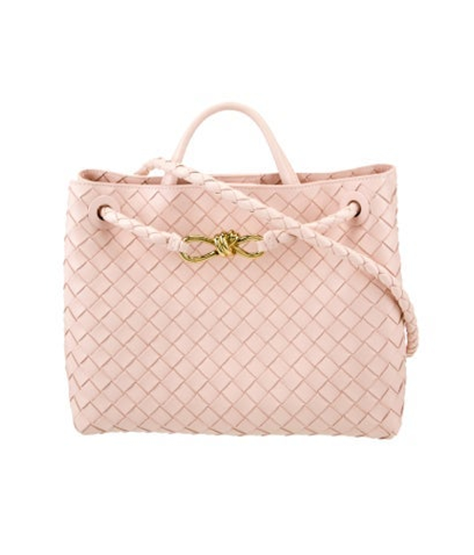 Bottega Veneta Veneta Intrecciato Andiamo Medium