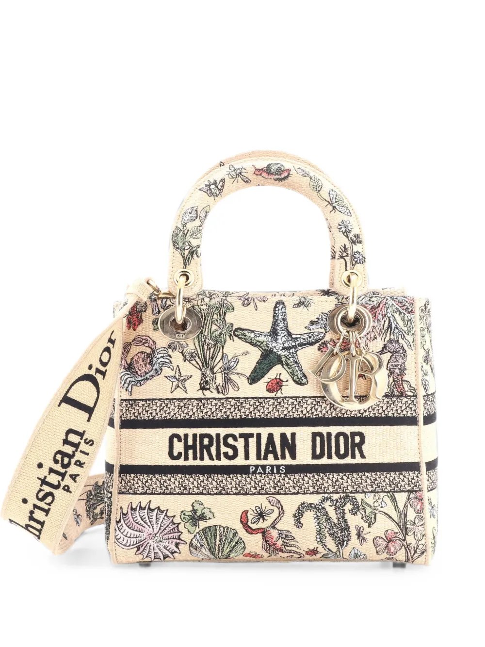 Lady D-Lite Bag Embroidered Raffia Medium satchel