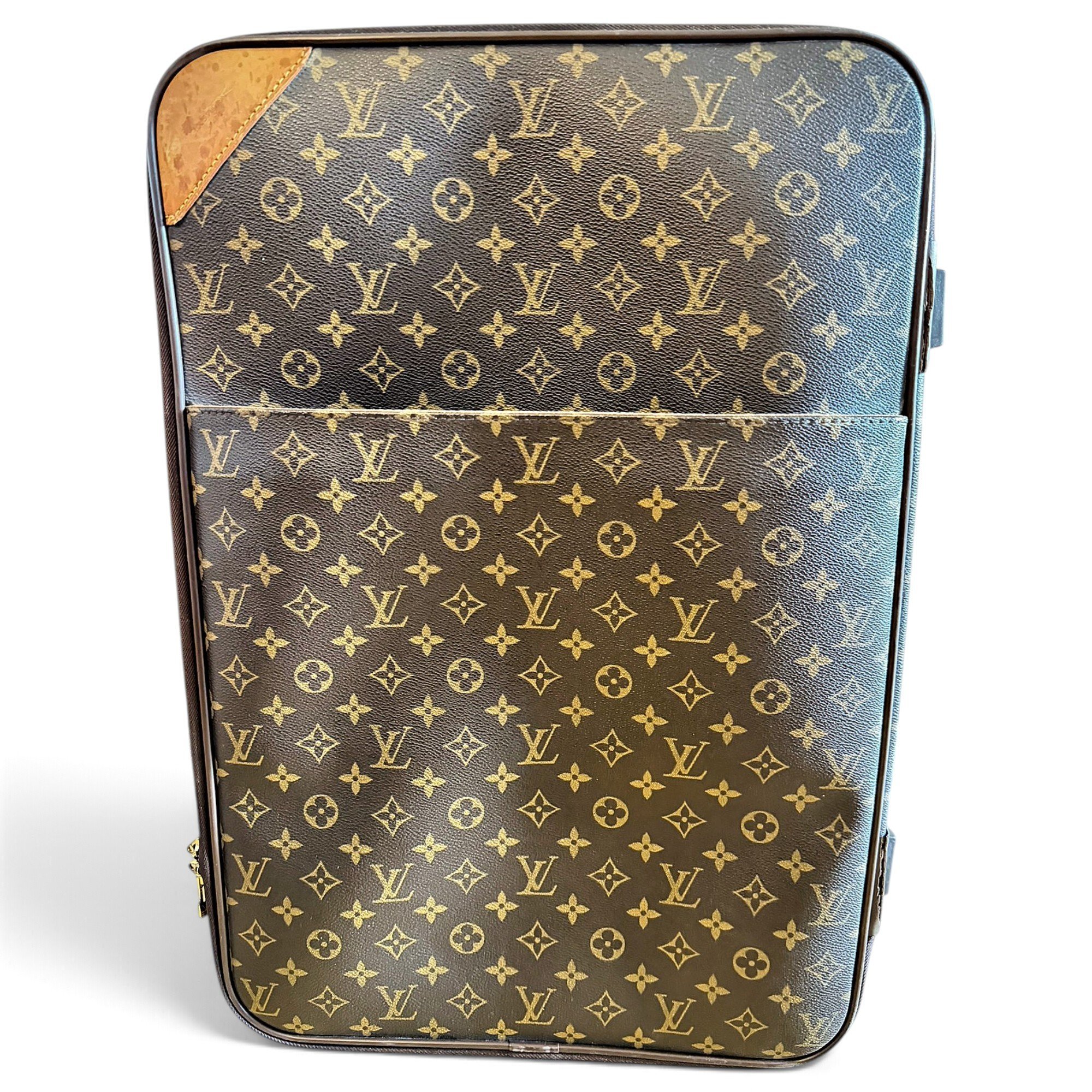 Pegase leather 48h bag
