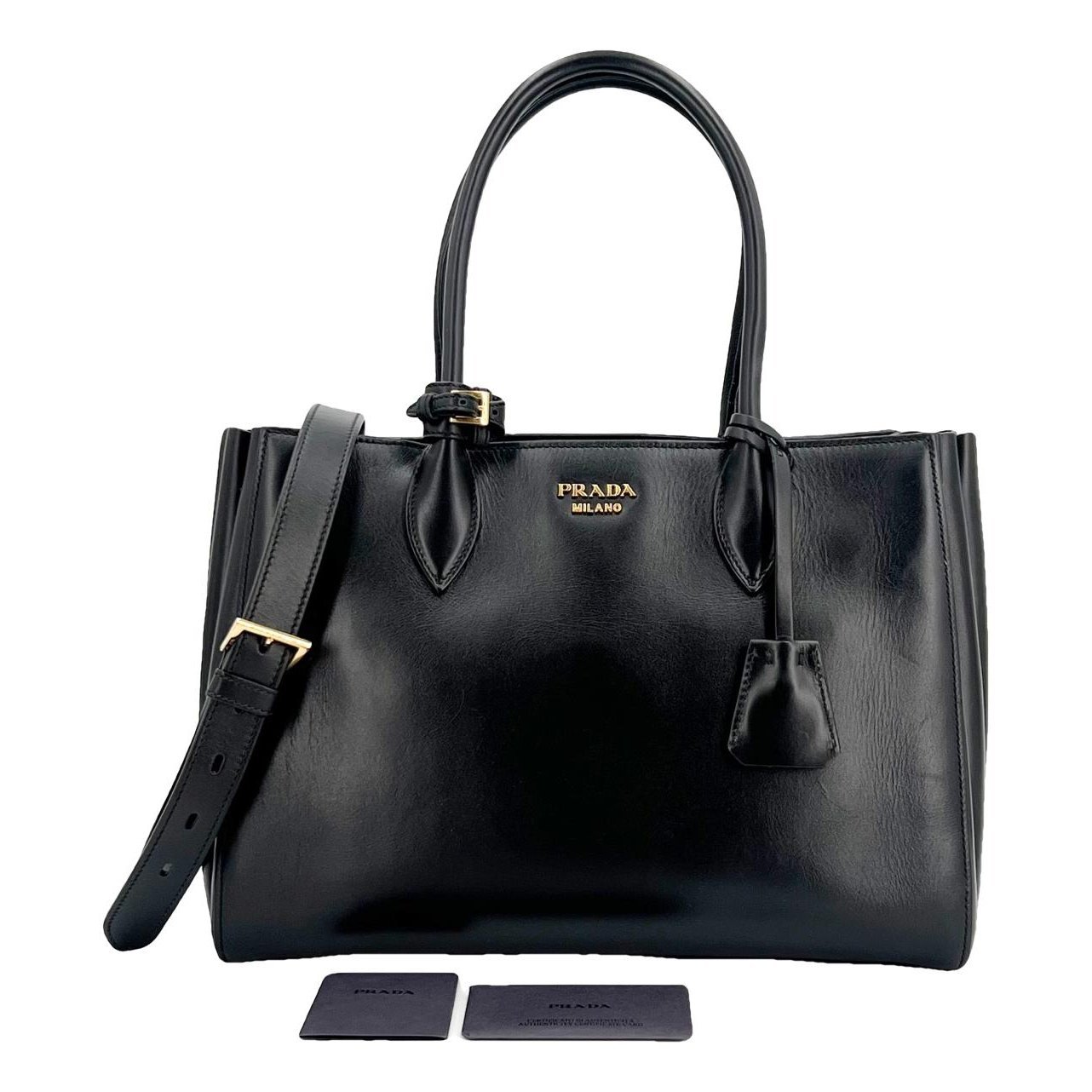 Bibliothèque leather handbag