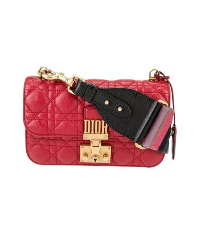 Dior Dior Leather Dioraddict