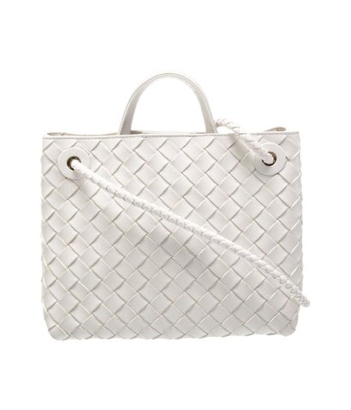 Bottega Veneta Veneta Intrecciato Andiamo Small