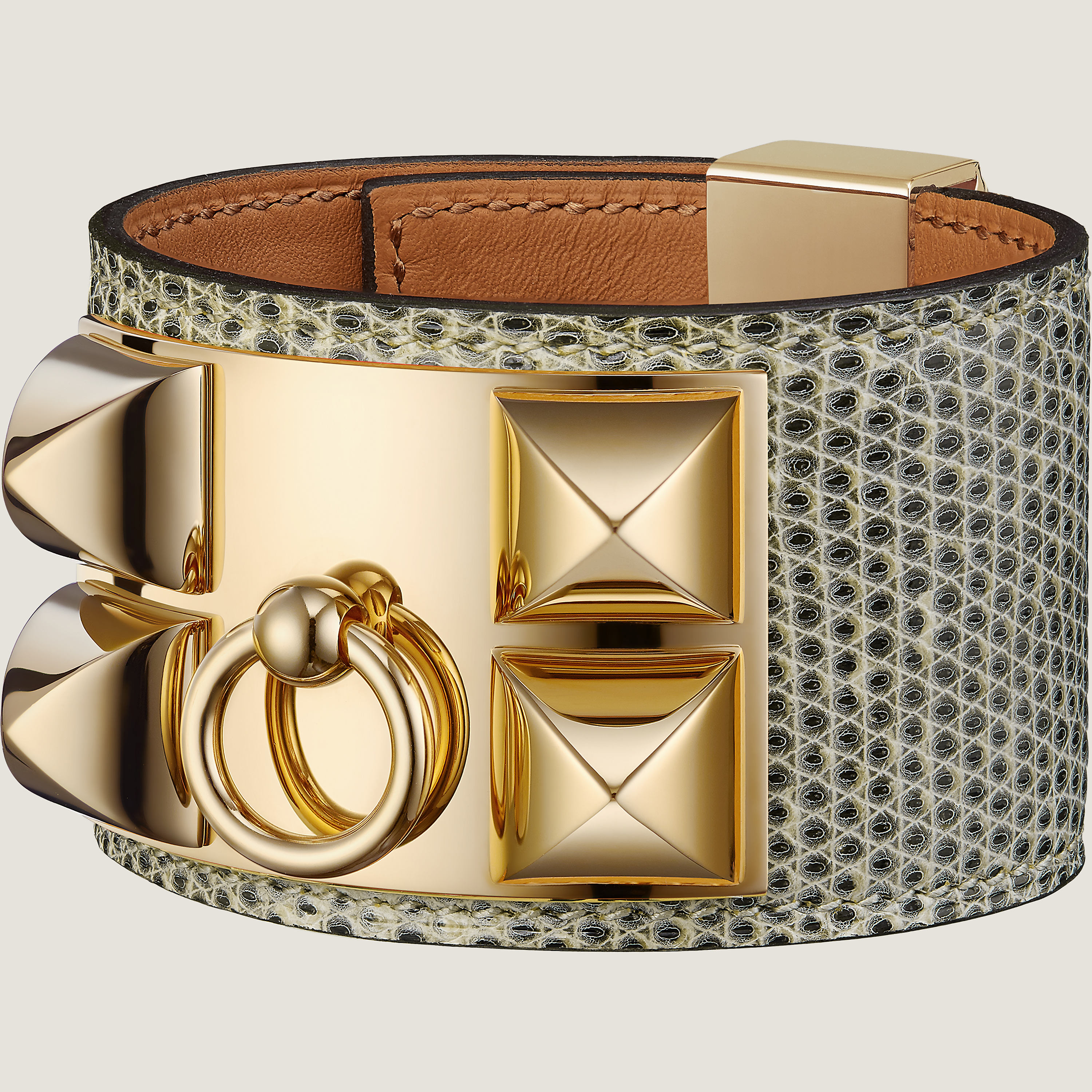 Collier de Chien bracelet