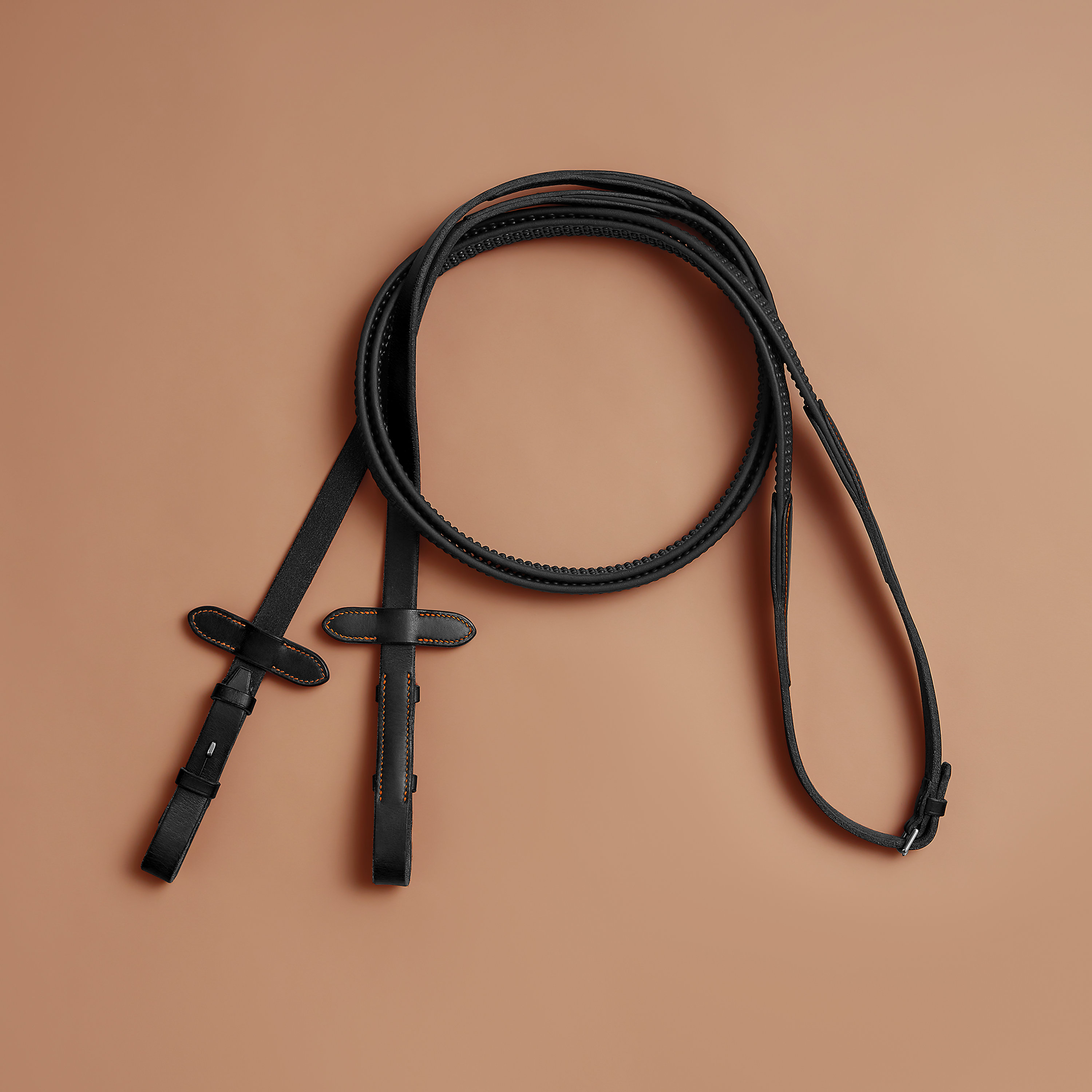 Reins