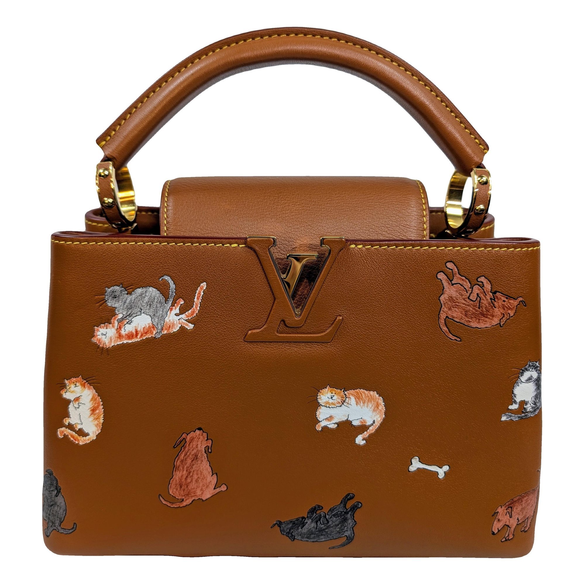 Capucines leather handbag
