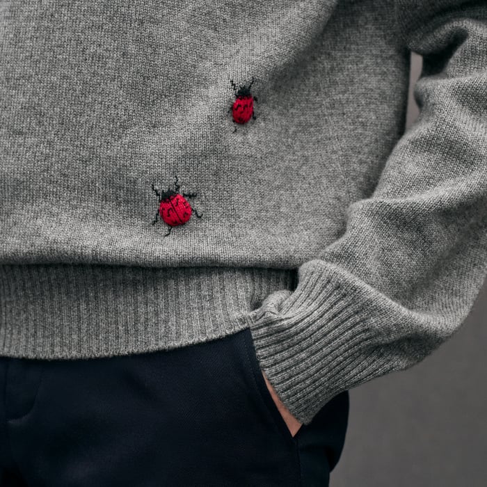 Flanelle "Broderie Coccinelle" Crewneck Cashmere Sweater