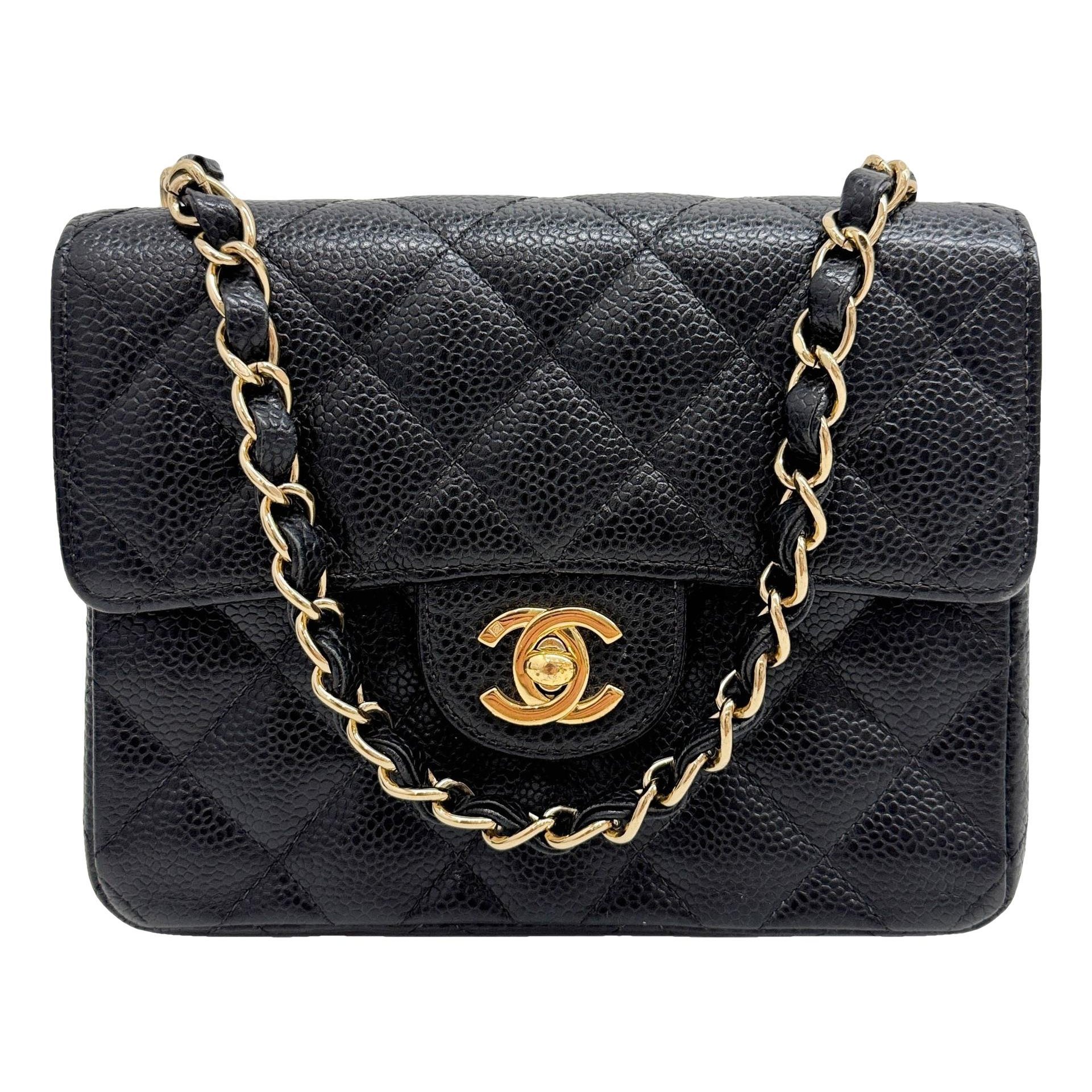 Timeless/Classique leather mini bag