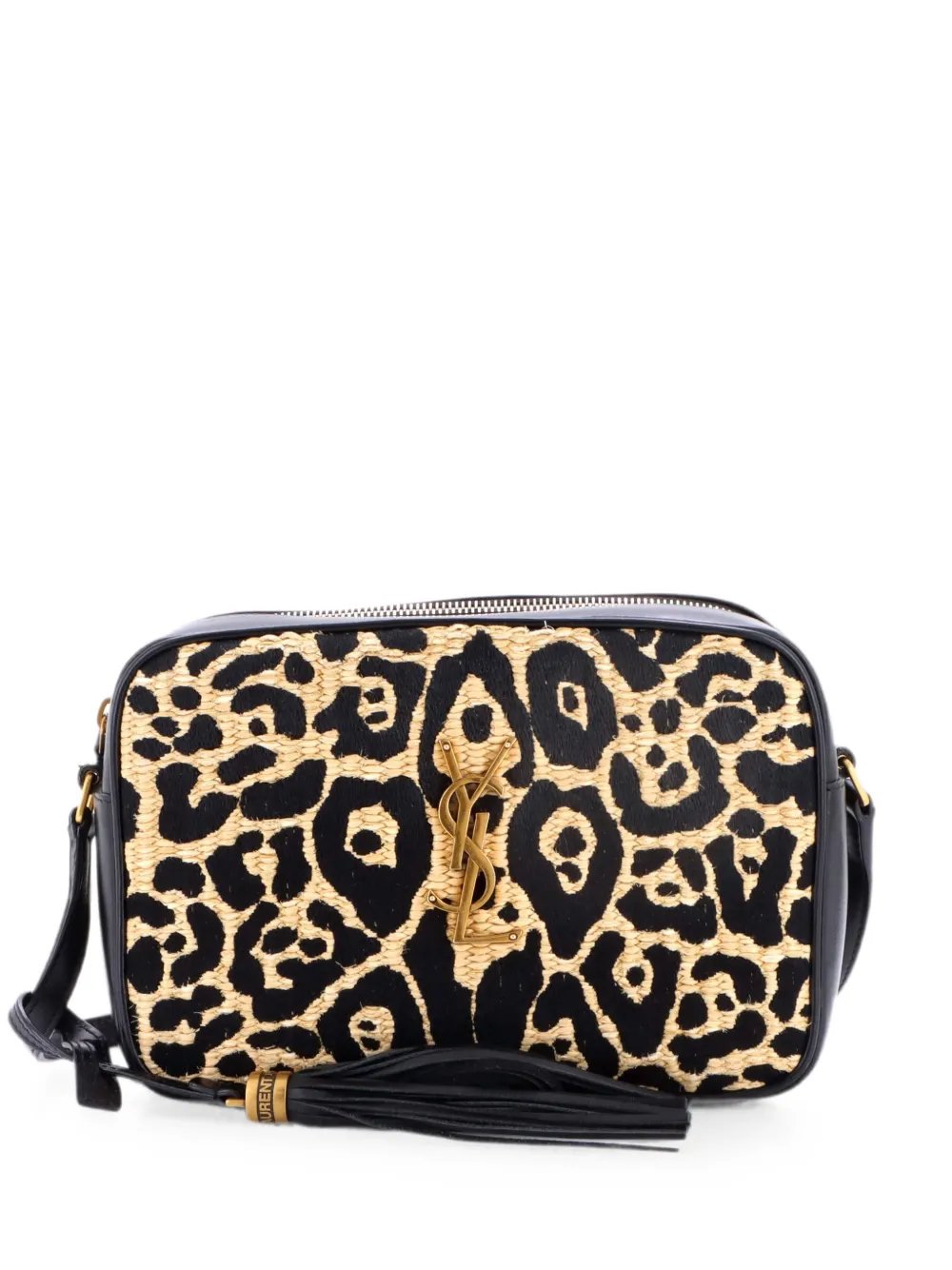 Lou Camera Bag Printed Raffia Small crossbody bag