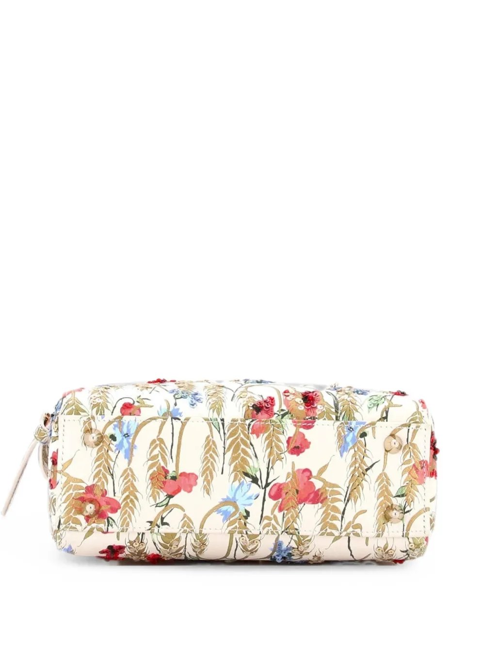 My ABCDior Lady Dior Bag Embroidered Printed Leather satchel