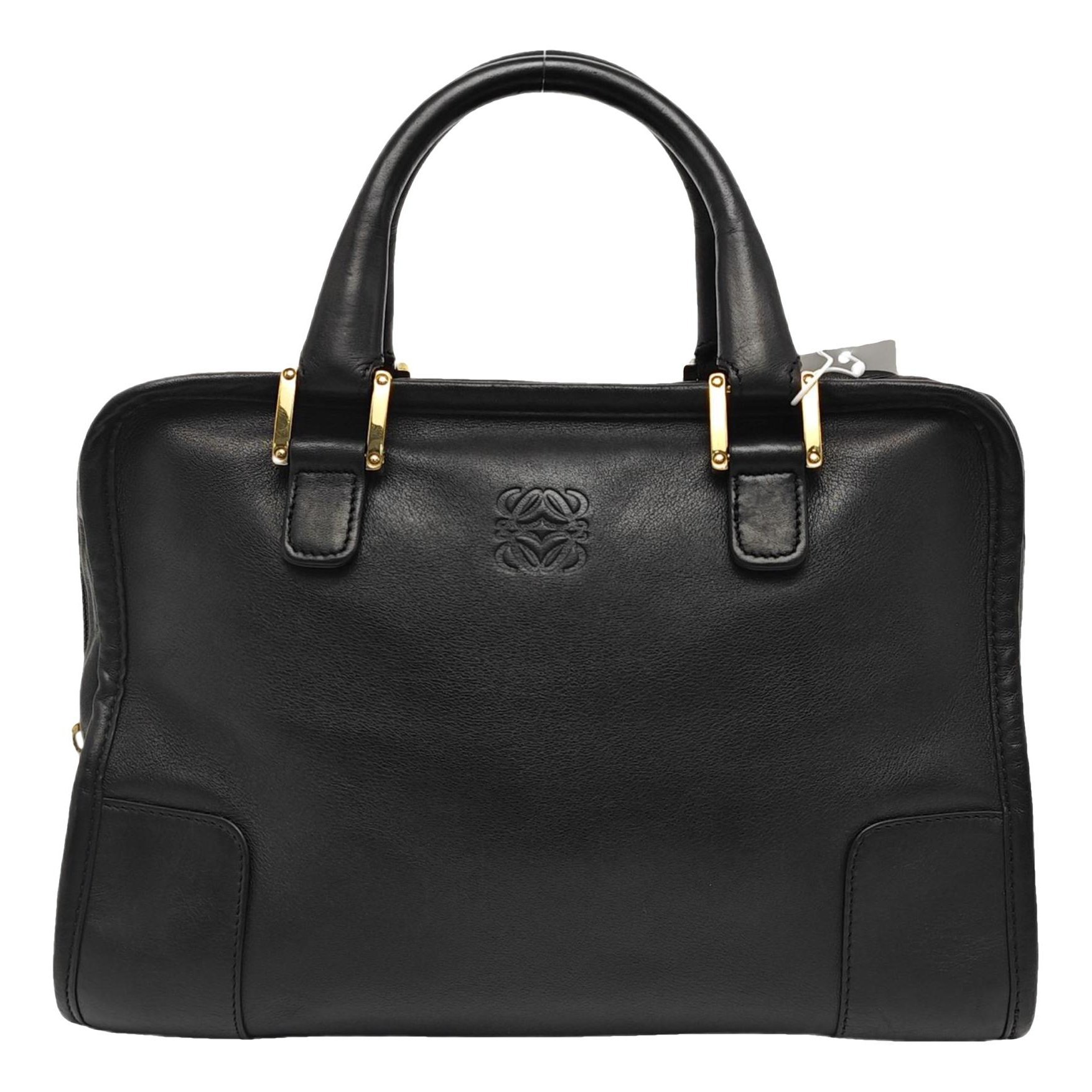 Amazona leather handbag