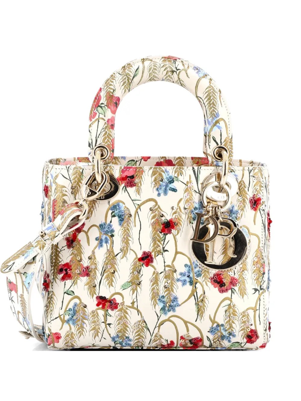 My ABCDior Lady Dior Bag Embroidered Printed Leather satchel