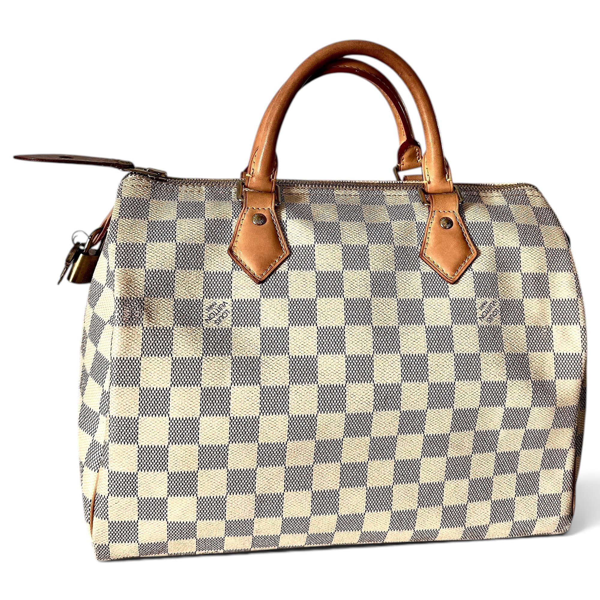 Louis Vuitton Speedy cloth handbag