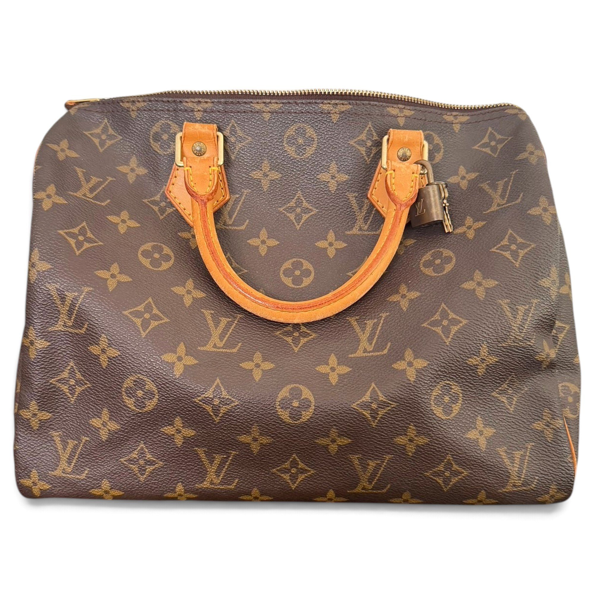 Louis Vuitton Speedy cloth handbag
