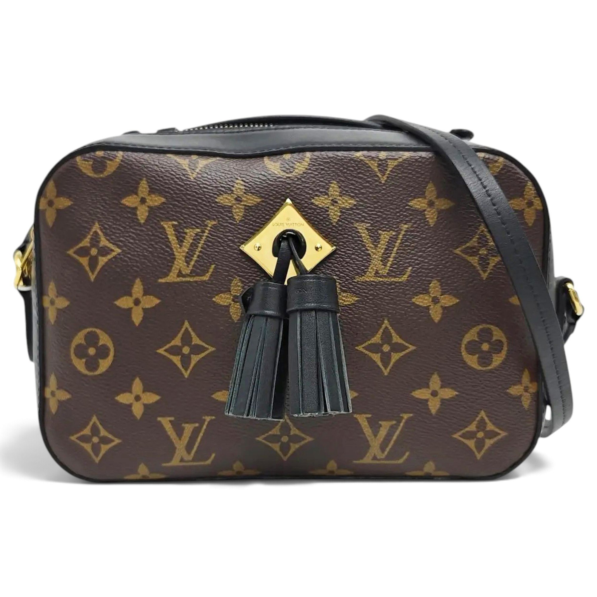 Saintonge leather handbag