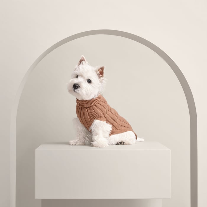 Fauve Dog Pullover