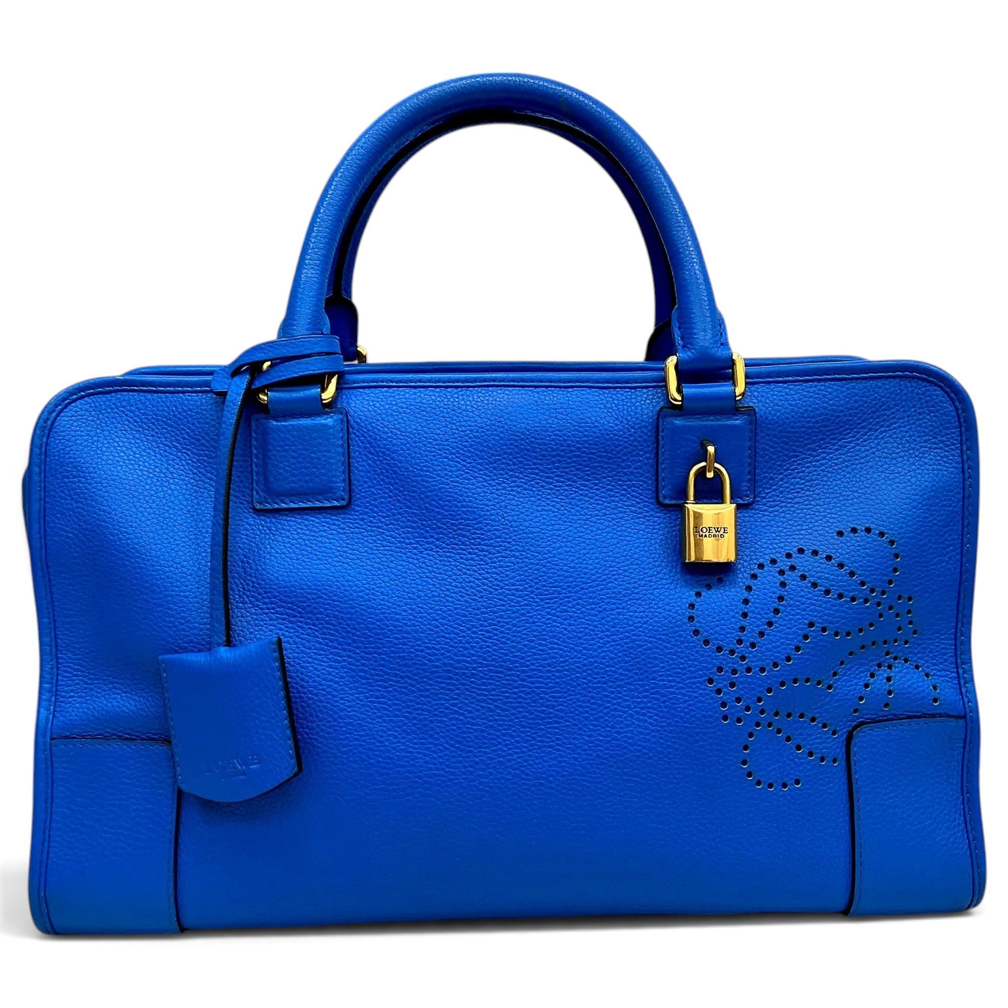 Amazona leather handbag