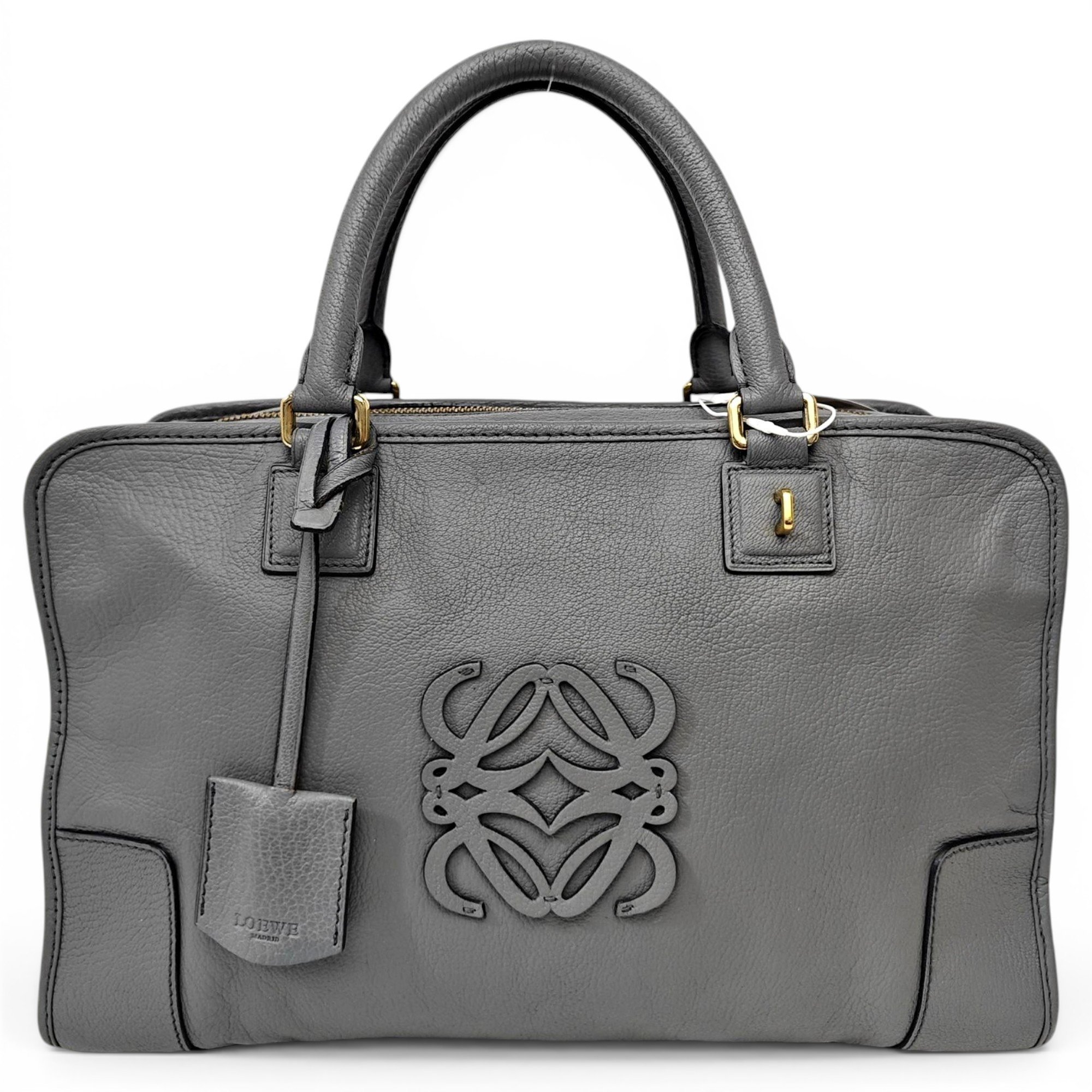Amazona leather handbag