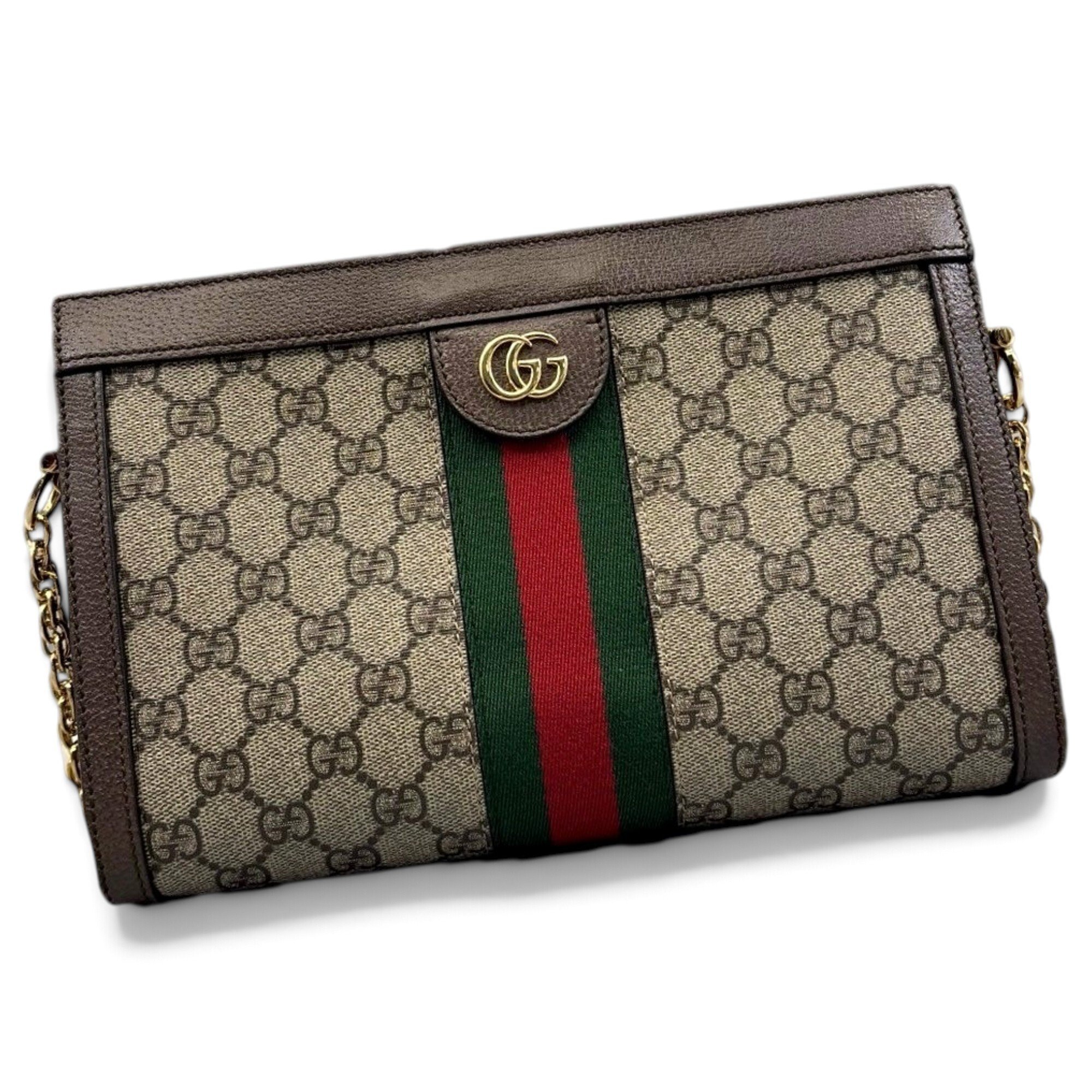 Ophidia Chain cloth handbag