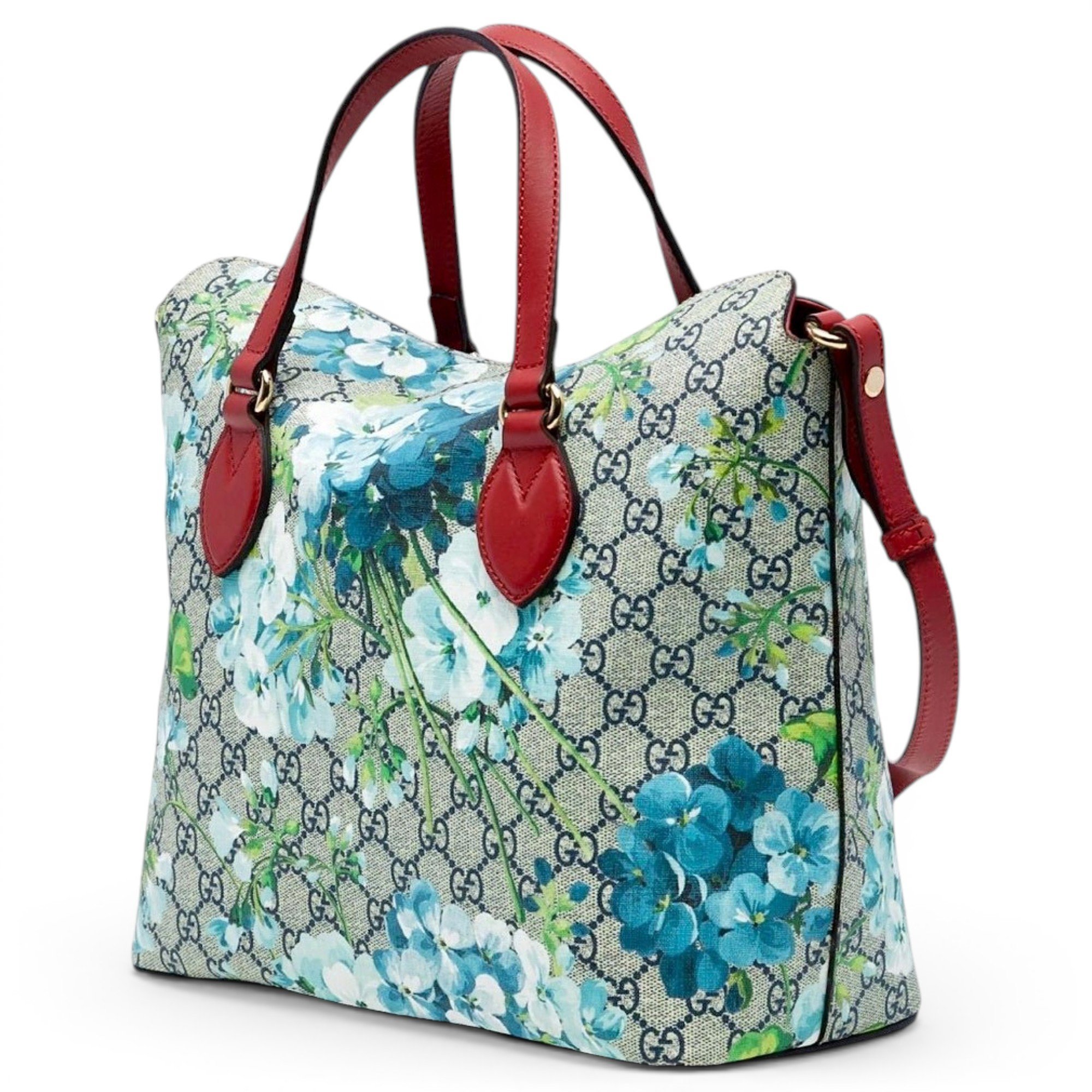 Dionysus Hobo leather tote