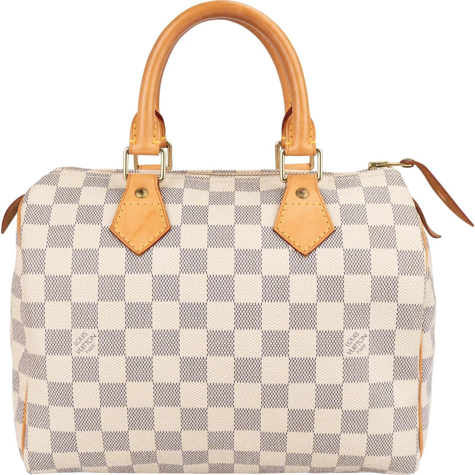 Louis Vuitton Speedy leather handbag