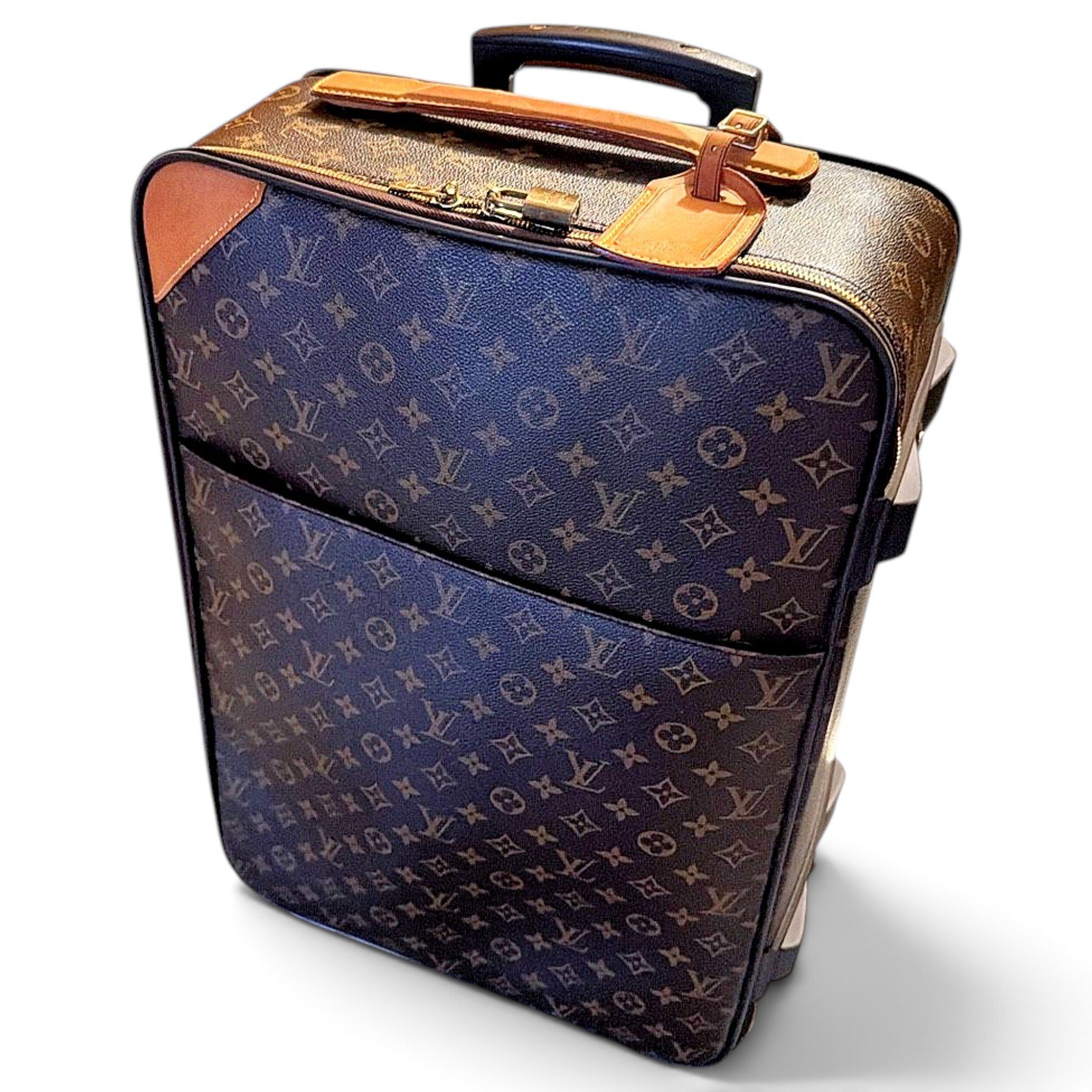 Pegase leather 48h bag