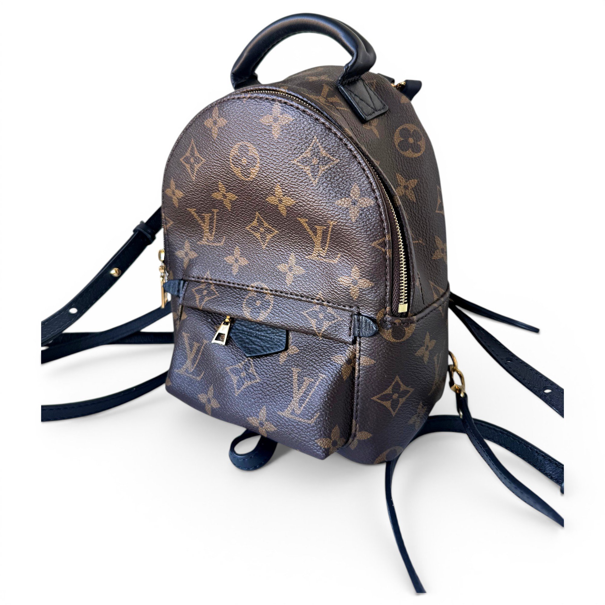 Palm Springs backpack