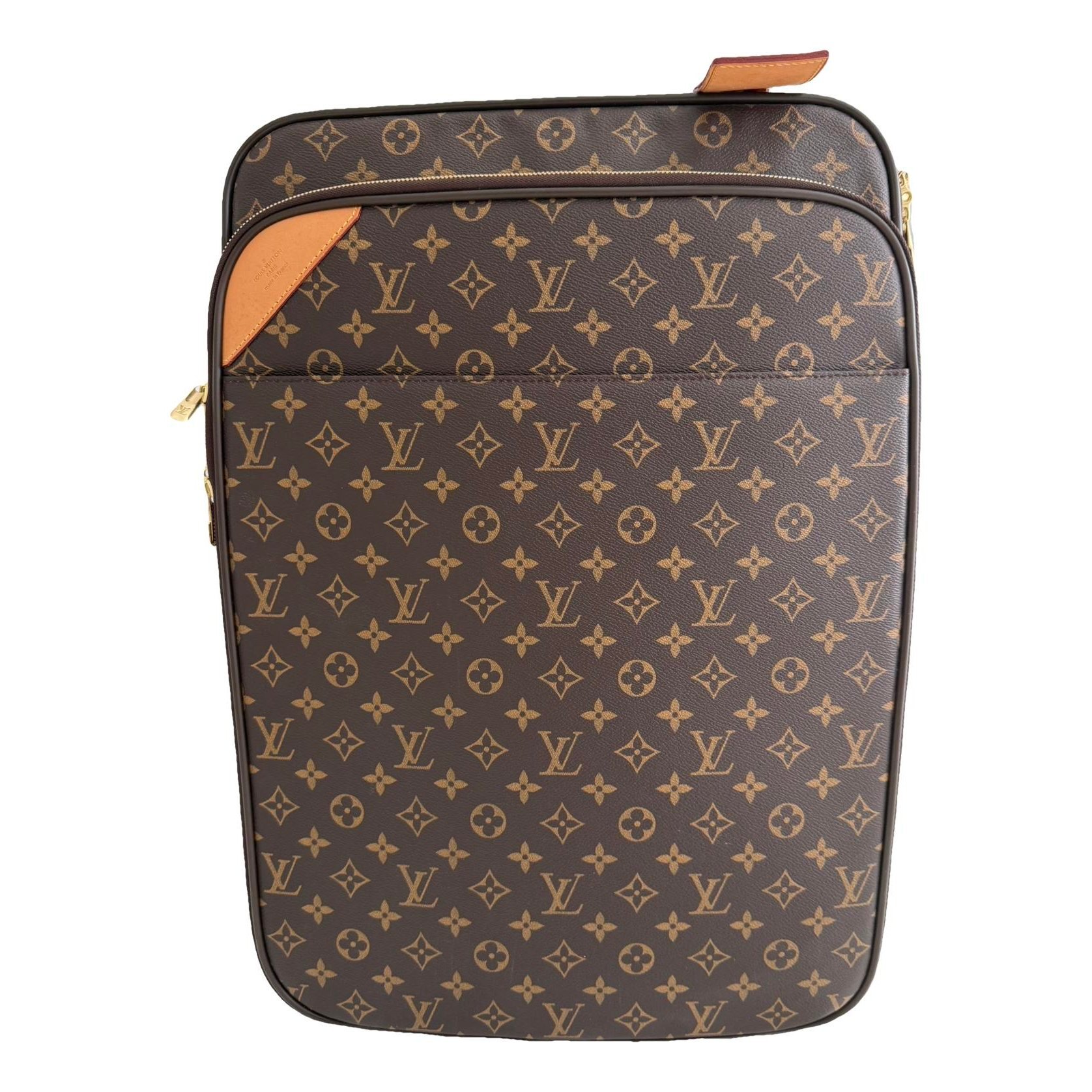 Pegase leather travel bag