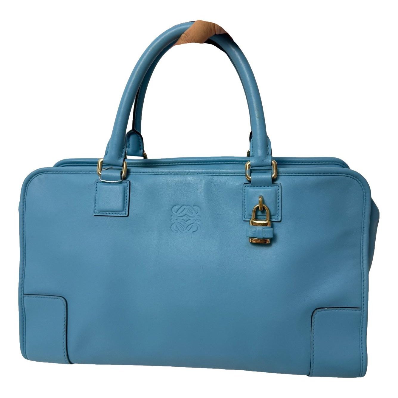 Amazona leather handbag