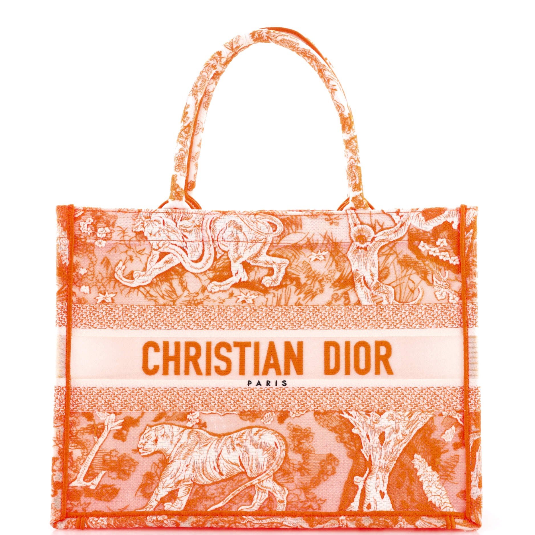 Dior Book Tote Embroidered Canvas Medium