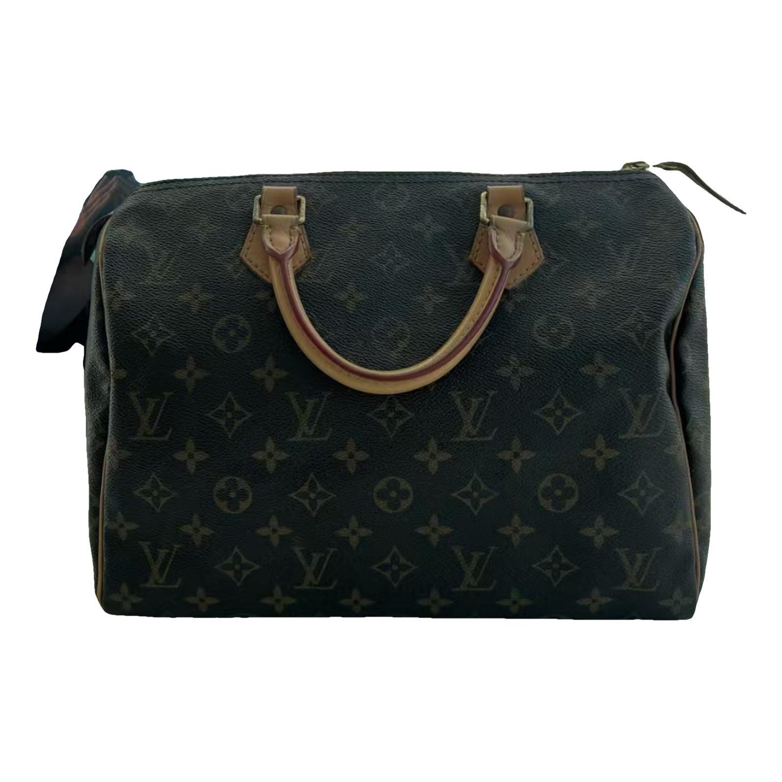 Speedy cloth handbag
