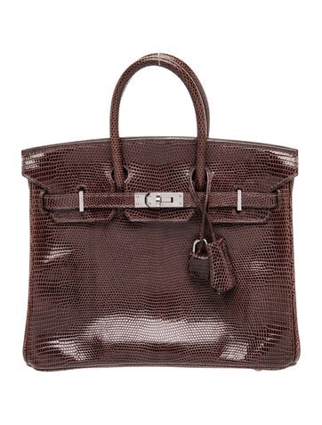 Hermes Varanus Niloticus Lizard Birkin 25