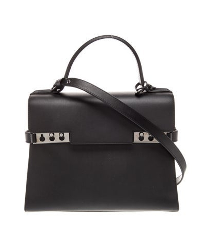 Delvaux Leather Tempete Pm