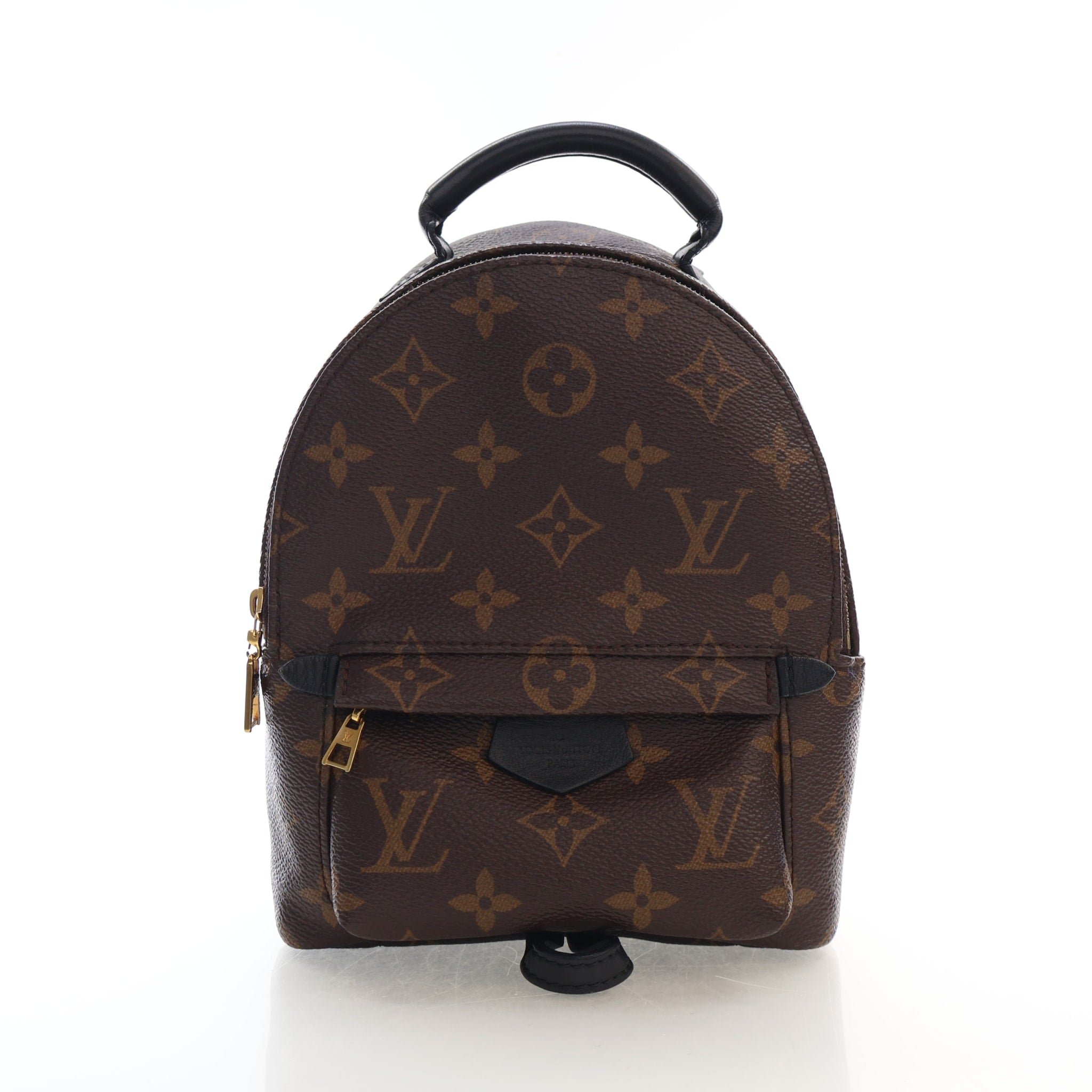 Louis Vuitton Monogram Palm Springs Mini