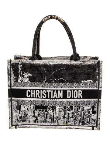 Dior Canvas Book Medium 2024