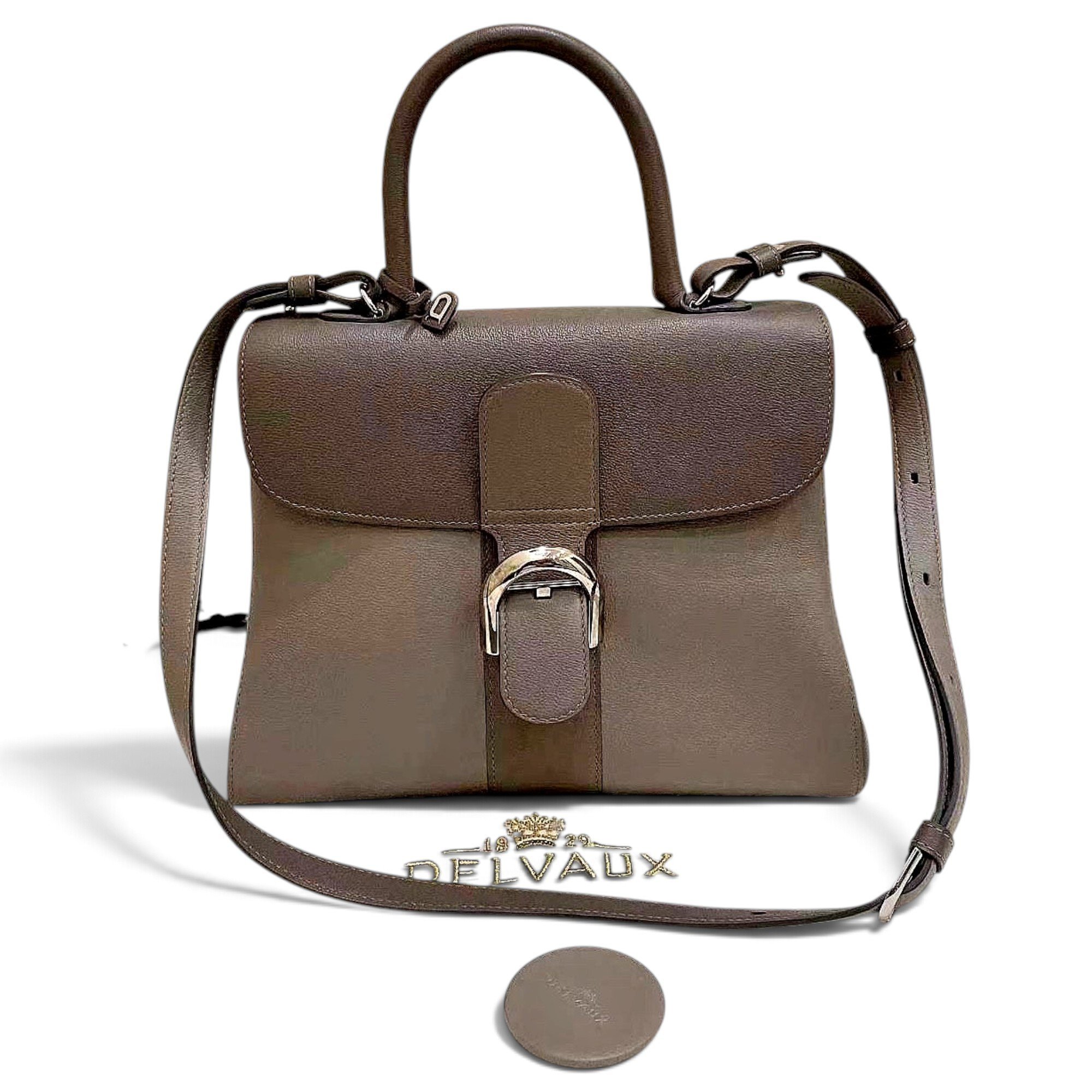 Delvaux Brillant leather handbag
